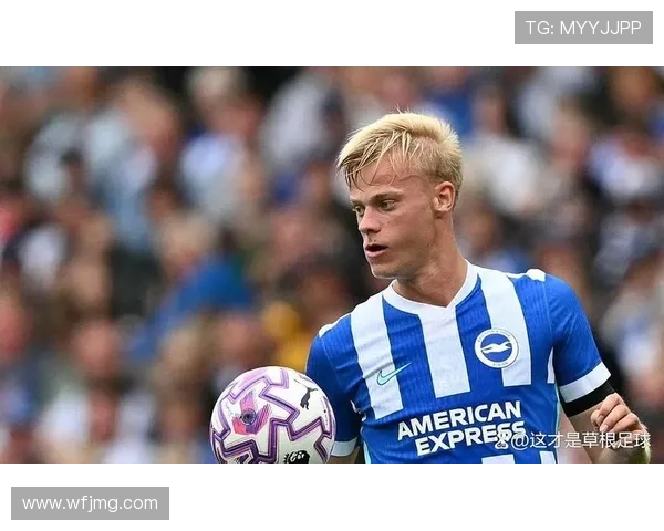 范赫克或赴英超切尔西纽卡争抢